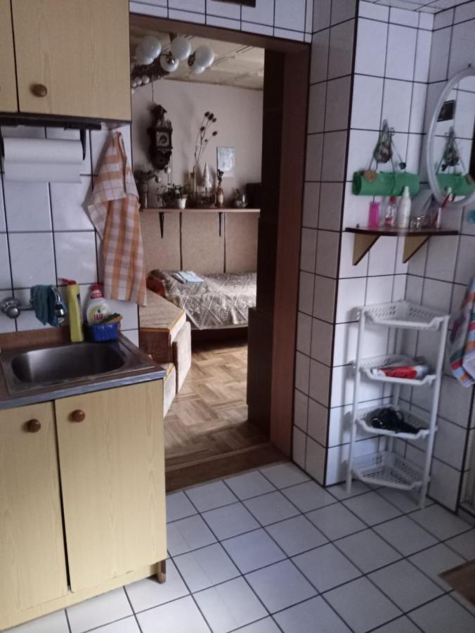 Pawi Ogon Apartment Sokolowsko Екстериор снимка